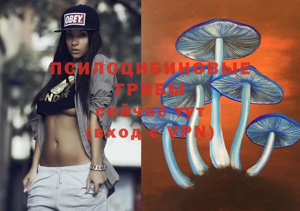 spice Алексеевка